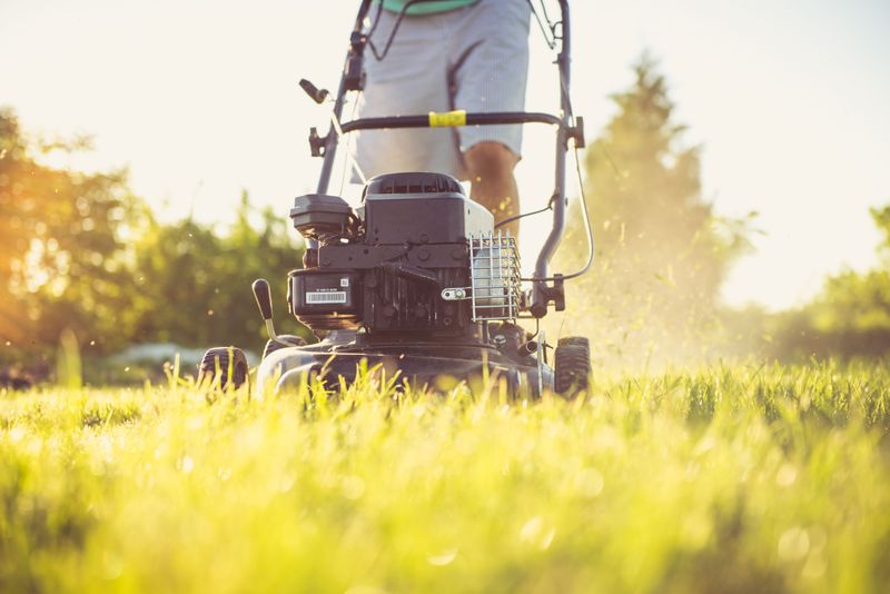 Mowing Higher To Protect Grass From Heat Stress Mowing Higher To Protect Grass From Heat Stress
