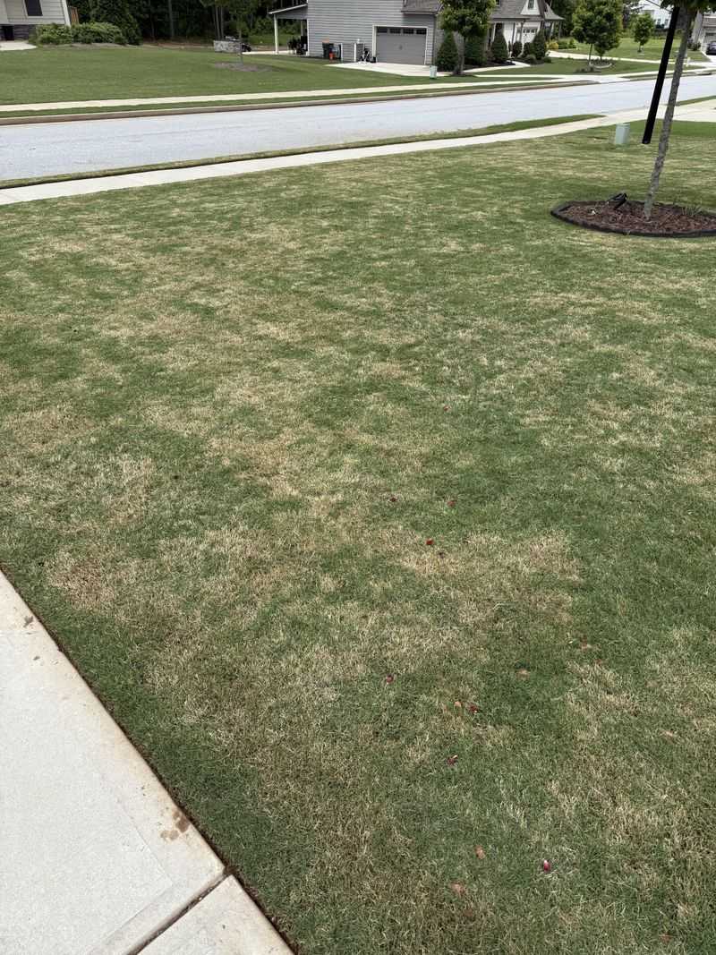 Mowing Too Low Turns Turf Brown Mowing Too Low Turns Turf Brown