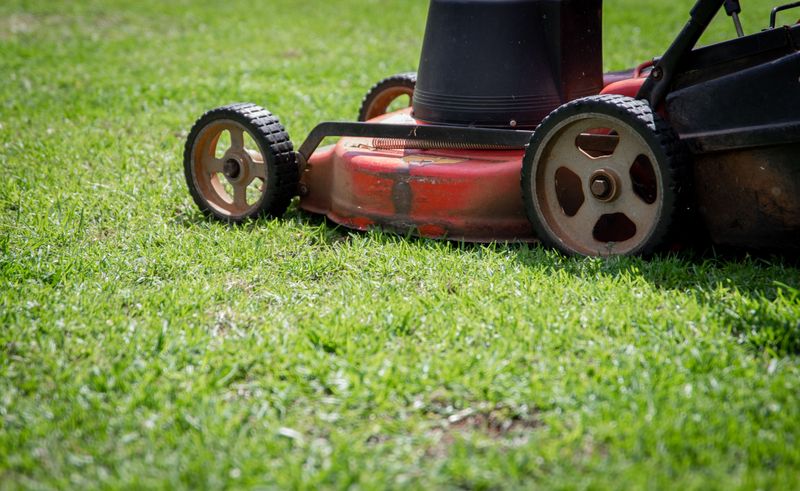 Mowing Too Short During Dry Spells Mowing Too Short During Dry Spells