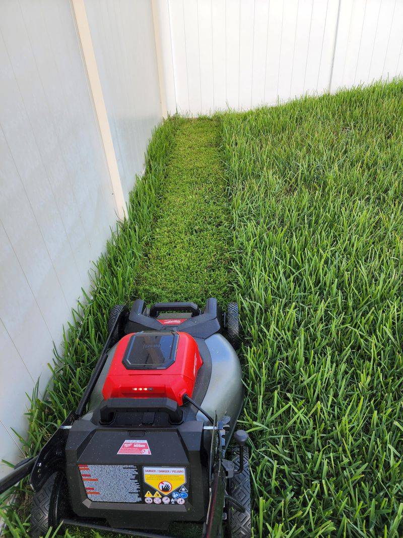 Mowing With Dull Blades That Tear Grass Mowing With Dull Blades That Tear Grass