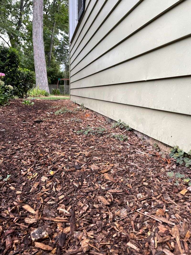 Mulch Against Siding Is The Biggest Problem Spot Mulch Against Siding Is The Biggest Problem Spot