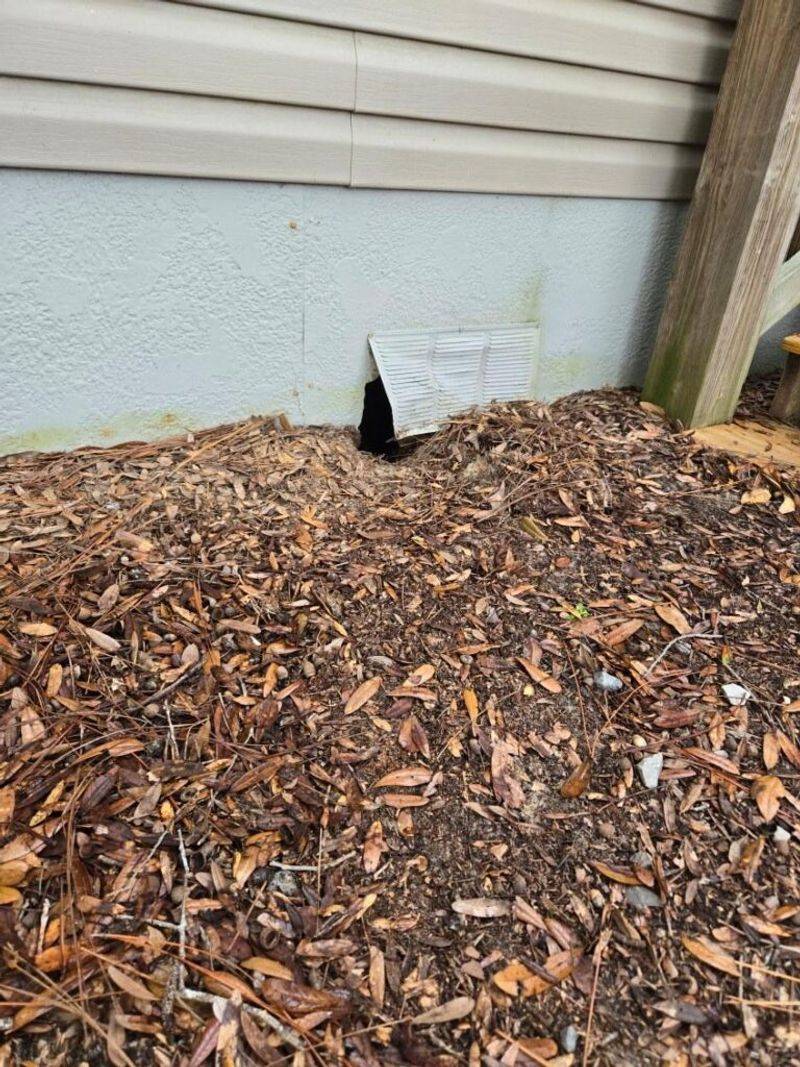 Mulch Against The Foundation Shortens The Covered Route