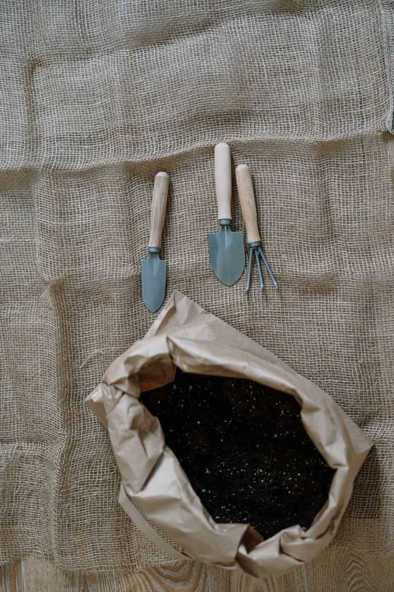 Mulch Around Roots To Retain Moisture Mulch Around Roots To Retain Moisture