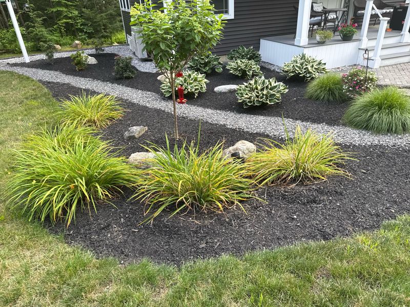 Mulch Around The Base For Protection
