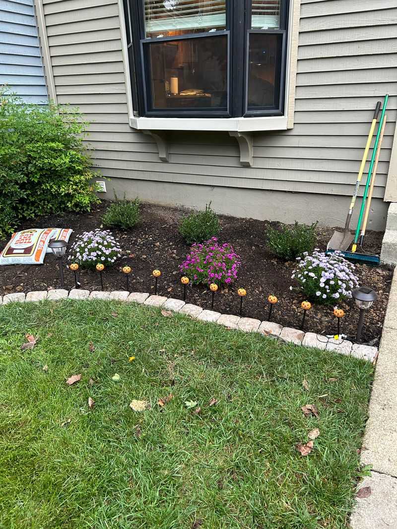 Mulch Beds Against The Foundation Trap Moisture Roaches Need Mulch Beds Against The Foundation Trap Moisture Roaches Need