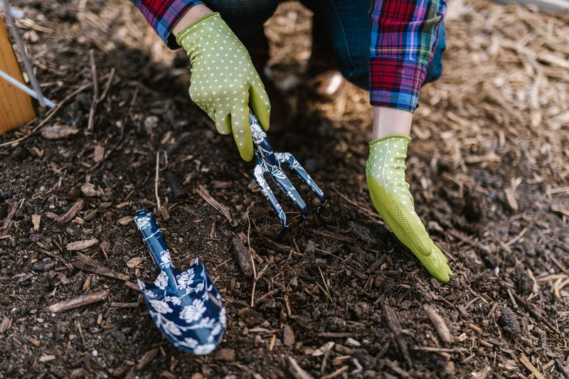 Mulch Beds To Protect Roots Through Fall