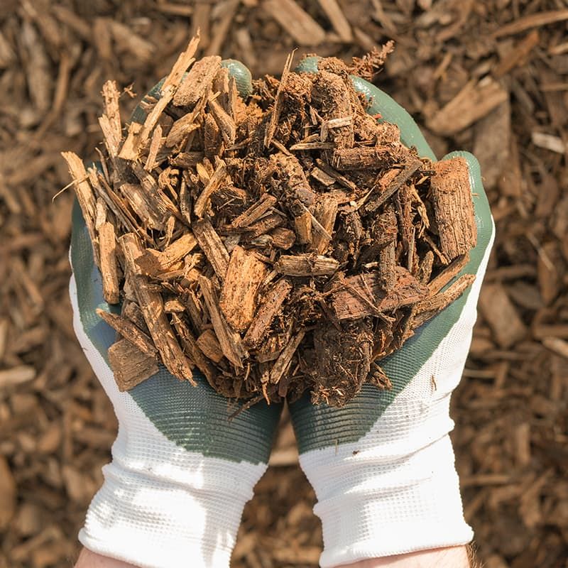 Mulch Can Help Slow New Seedlings Mulch Can Help Slow New Seedlings