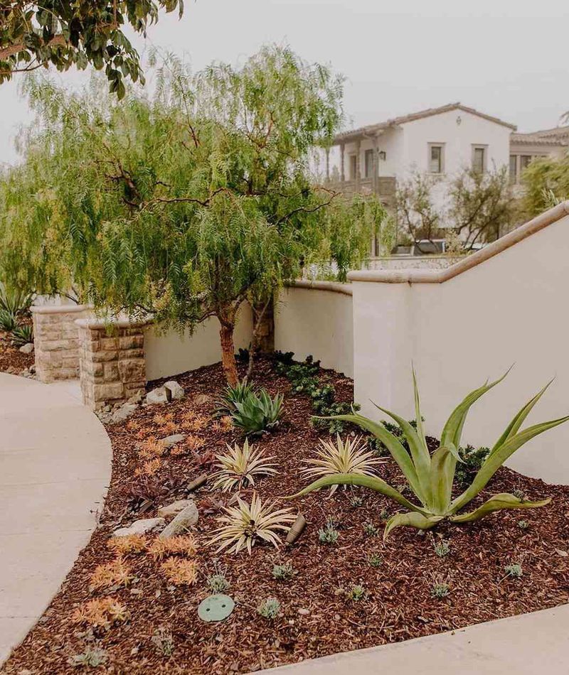Mulch Helps The Soil Hold Moisture Longer
