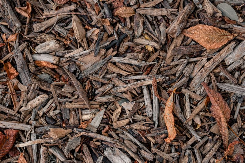 Mulch Lightly To Retain Soil Moisture Mulch Lightly To Retain Soil Moisture