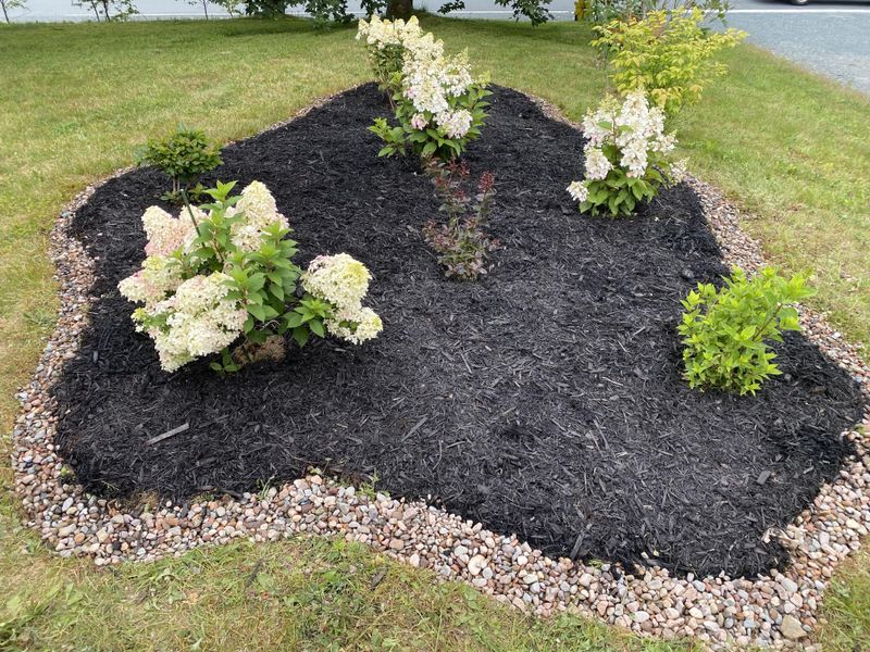 Mulch Missing When The Soil Needs It Most Mulch Missing When The Soil Needs It Most