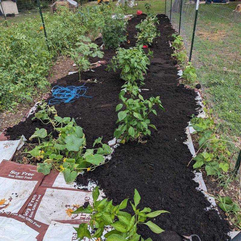 Mulch Now And Weed Less Later Mulch Now And Weed Less Later