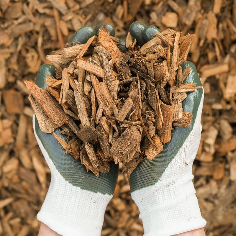Mulch Now For Better Heat Protection Later