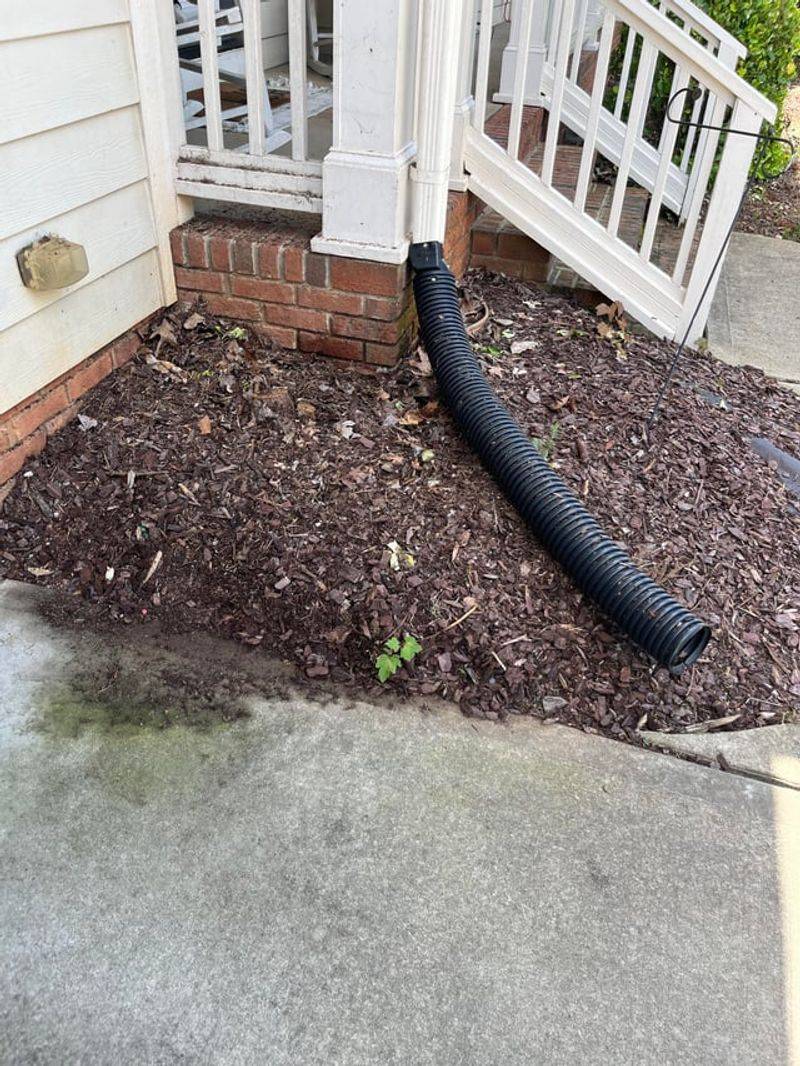 Mulch Spilling Over And Blurring The Line Mulch Spilling Over And Blurring The Line