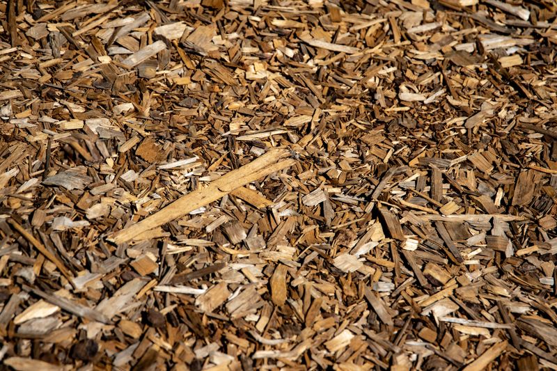 Mulch To Retain Soil Moisture Mulch To Retain Soil Moisture