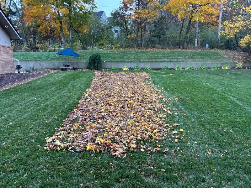 Mulched Leaves Return Nutrients Straight To The Soil Mulched Leaves Return Nutrients Straight To The Soil