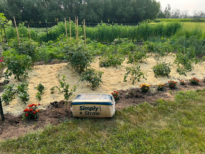 Mulching Techniques That Lock In Nutrients