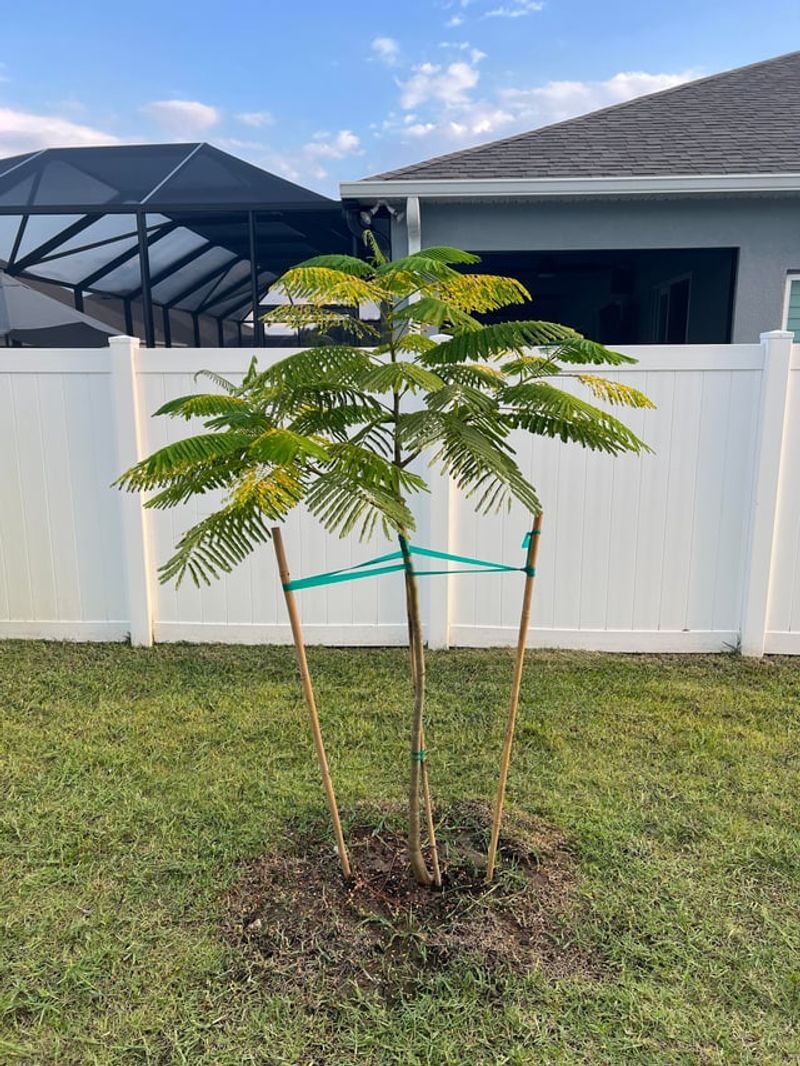 Narrow Planting Strips Create The Biggest Problems