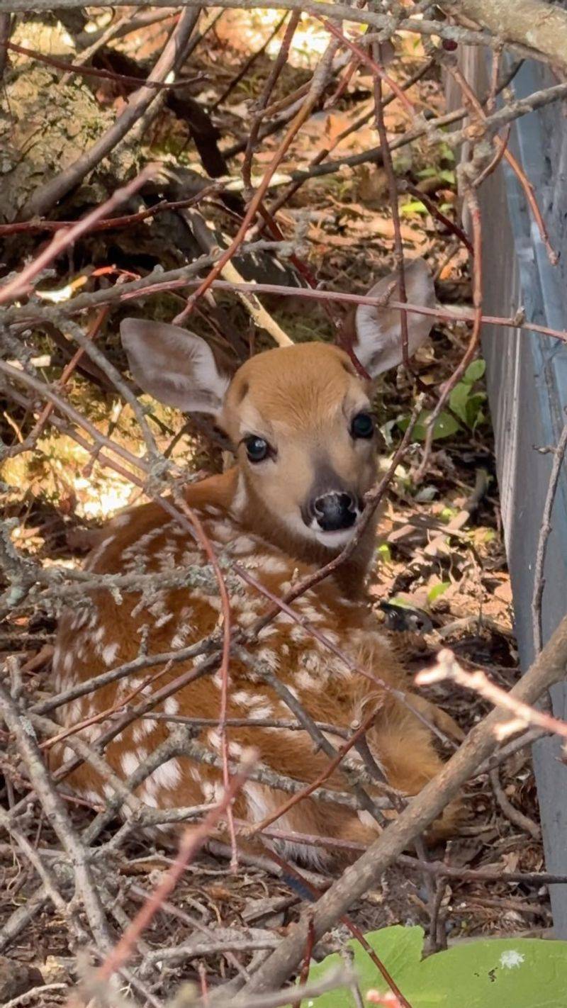 Nearby Cover Makes The Spot Feel Safe