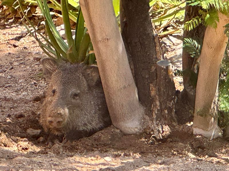 Nearby Washes Can Bring Them Close To Homes Nearby Washes Can Bring Them Close To Homes