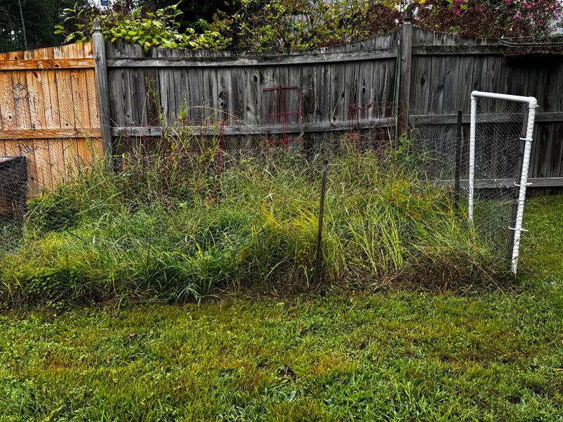 Neglected Fence Lines Collect Hidden Fire Fuels