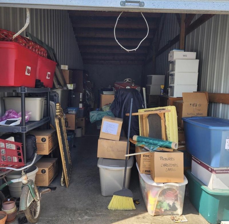 Neglected Storage Bins Offer Shelter Neglected Storage Bins Offer Shelter
