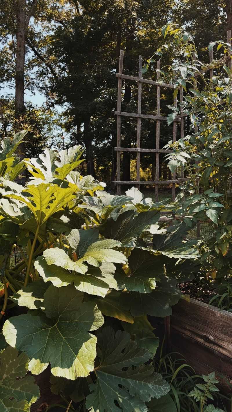 Neighboring Properties Will Keep Reseeding Your Garden With Pests