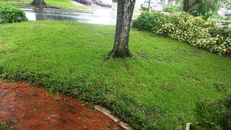 Never Ignore Rainfall Before Running Sprinklers Never Ignore Rainfall Before Running Sprinklers