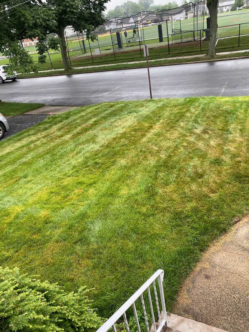 Never Remove Too Much Grass At Once