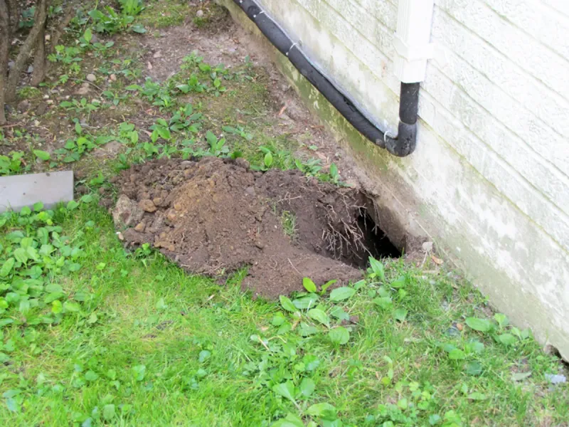Never Seal An Entrance That Is Still Active
