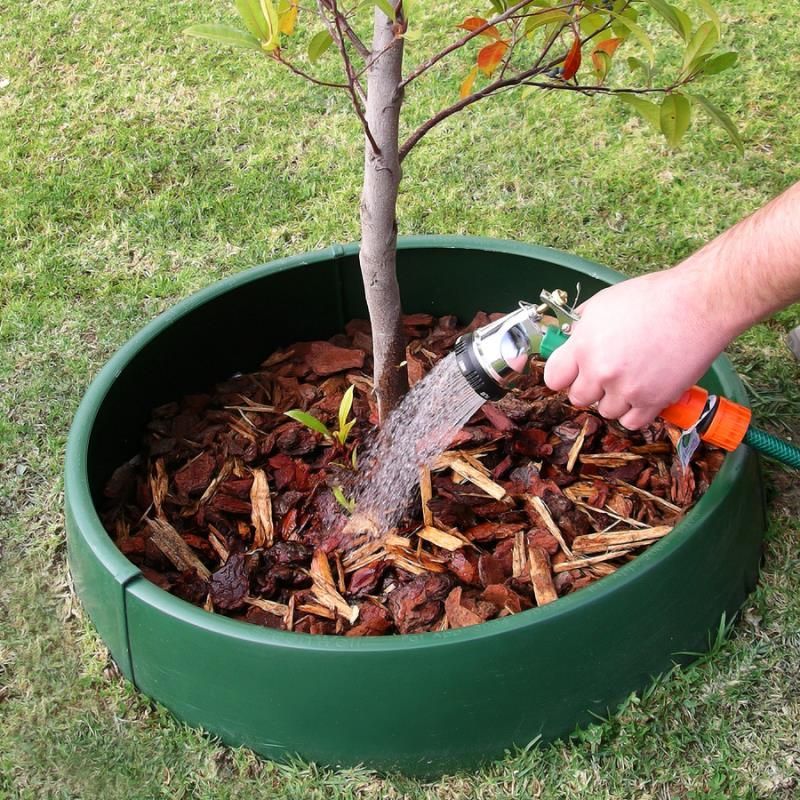 Newly Planted Trees And Shrubs Need Continued Deep Watering