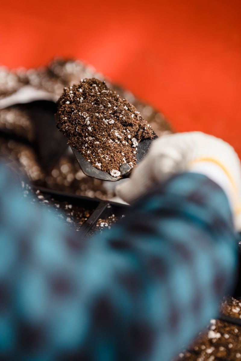 Nutrient Deficiency And Soil pH Imbalances