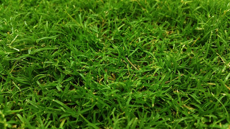 Nutrient Uptake Works Differently Once Temperatures Drop