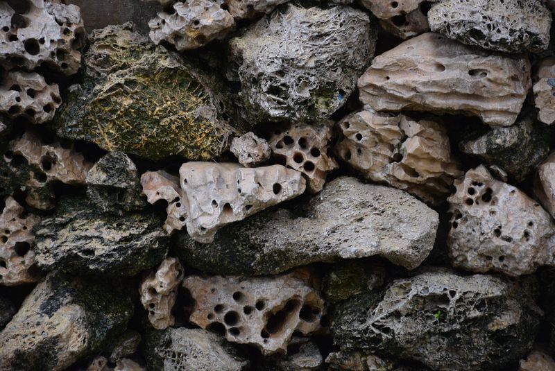 Nutrients Leach Fast Through Porous Limestone Layers Nutrients Leach Fast Through Porous Limestone Layers