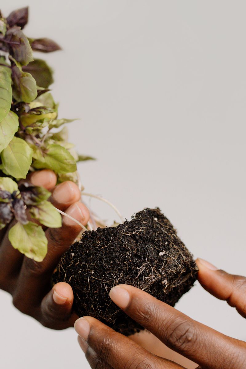 Nutrients Reach Root Zones More Effectively