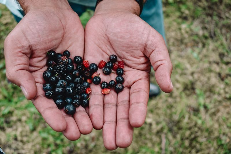 Nuts And Berries Have Personal Use Limits Nuts And Berries Have Personal Use Limits