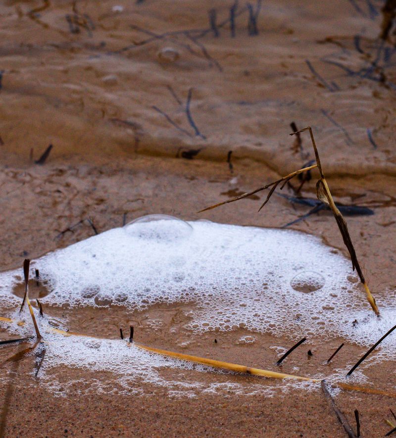 Odors Build Up As Water Stagnates