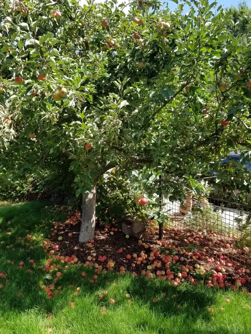 Offer A Practical Cleanup Plan