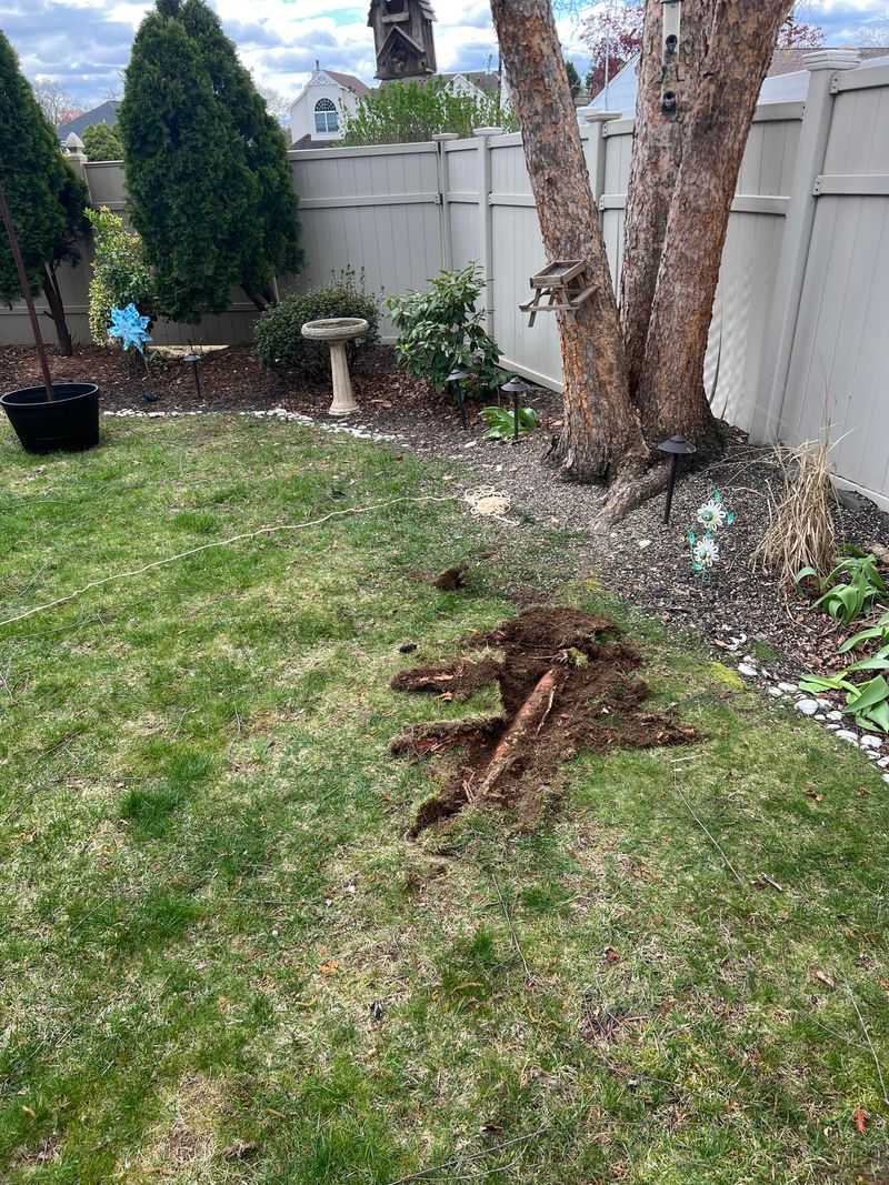 One Aggressive Cut Could Damage The Whole Tree One Aggressive Cut Could Damage The Whole Tree