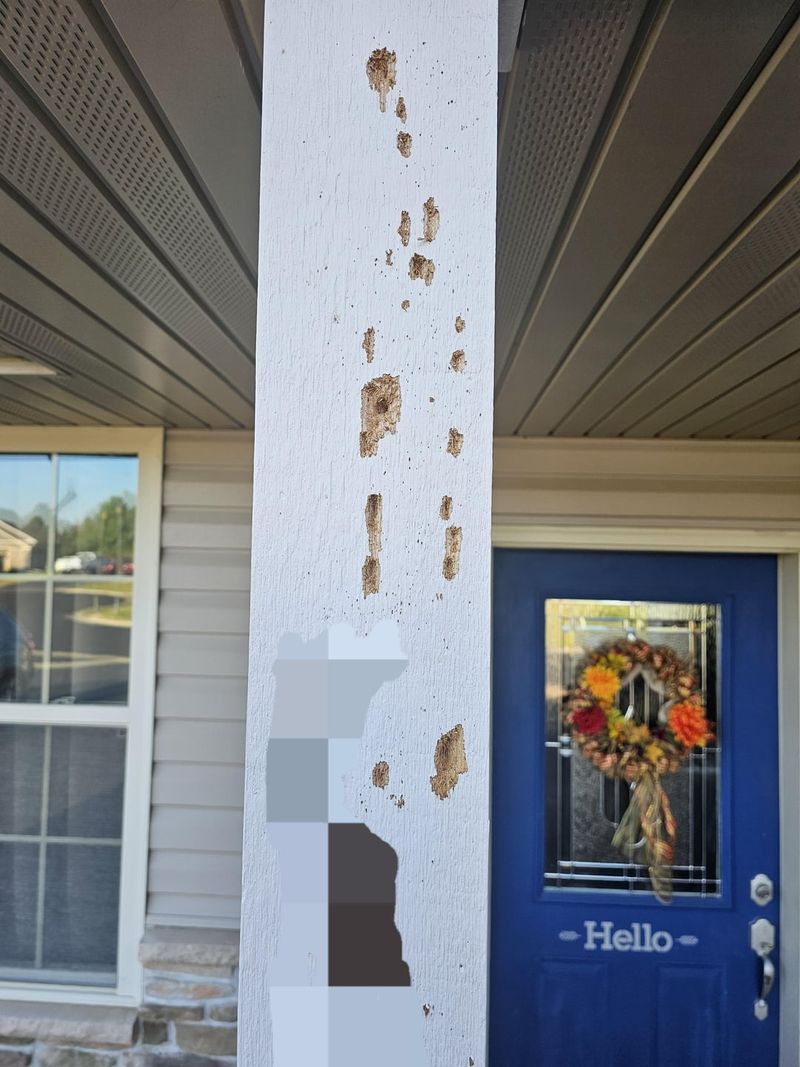 One Favorite Wall Can Become A Daily Target