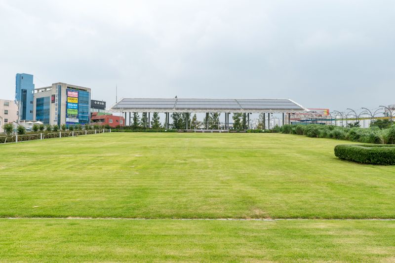 Open Lawns With No Nearby Cover