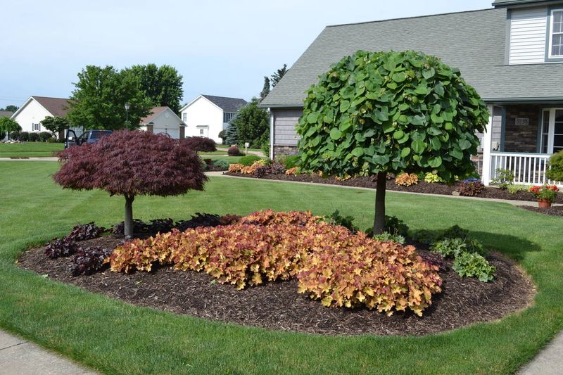 Open Shrubs Make Surprise Encounters Less Likely