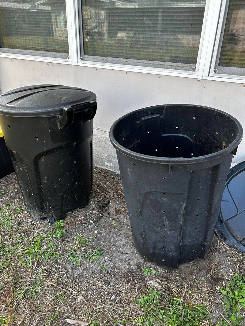 Open Trash Turns The Yard Into A Feeding Stop Open Trash Turns The Yard Into A Feeding Stop