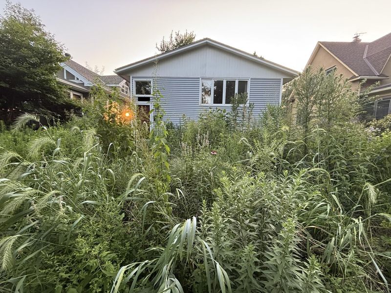 Open Up Overgrown Areas To More Sunlight Open Up Overgrown Areas To More Sunlight
