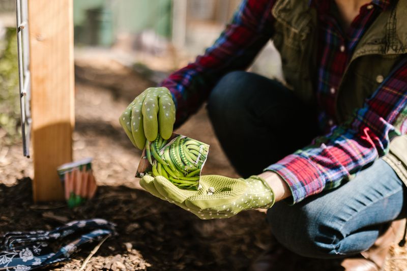 Order Cool-Season Seeds Now