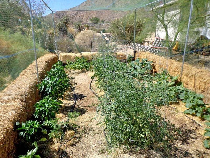 Organic Matter Changes How Difficult Soil Behaves Organic Matter Changes How Difficult Soil Behaves