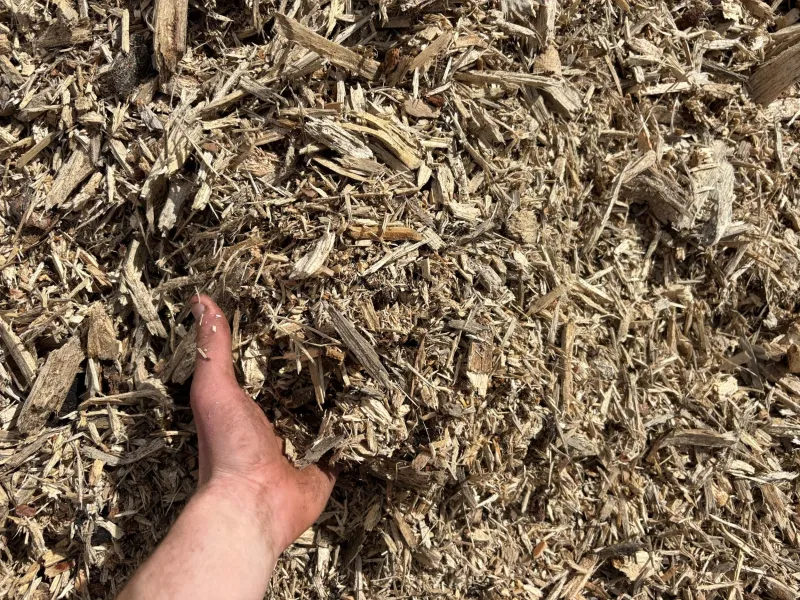Organic Mulch Helps Shield The Soil From Direct Sun Organic Mulch Helps Shield The Soil From Direct Sun