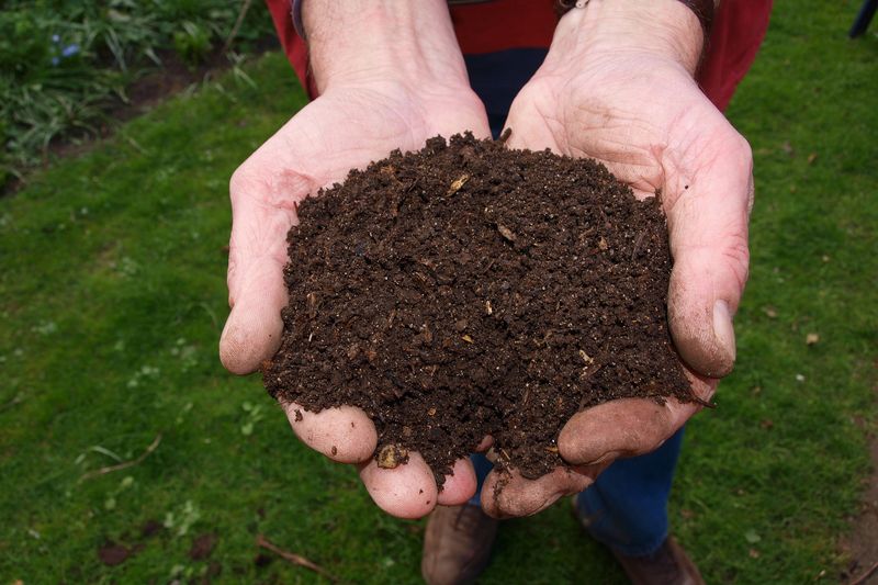 Organic Nitrogen Releases Faster In Heat Organic Nitrogen Releases Faster In Heat