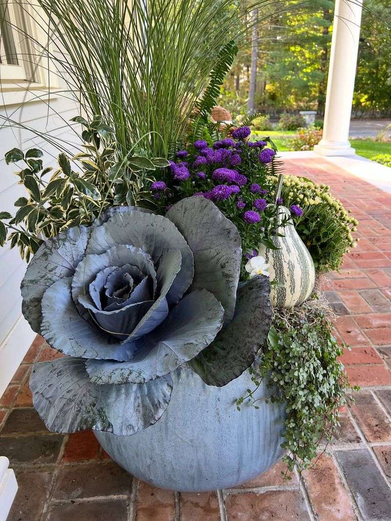 Ornamental Kale Adding Bold Color To Fall And Winter Pots Ornamental Kale Adding Bold Color To Fall And Winter Pots