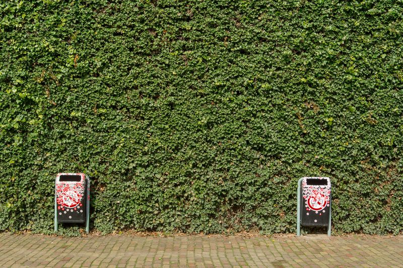 Outdoor Trash Areas Smell Fresher After Spraying Outdoor Trash Areas Smell Fresher After Spraying