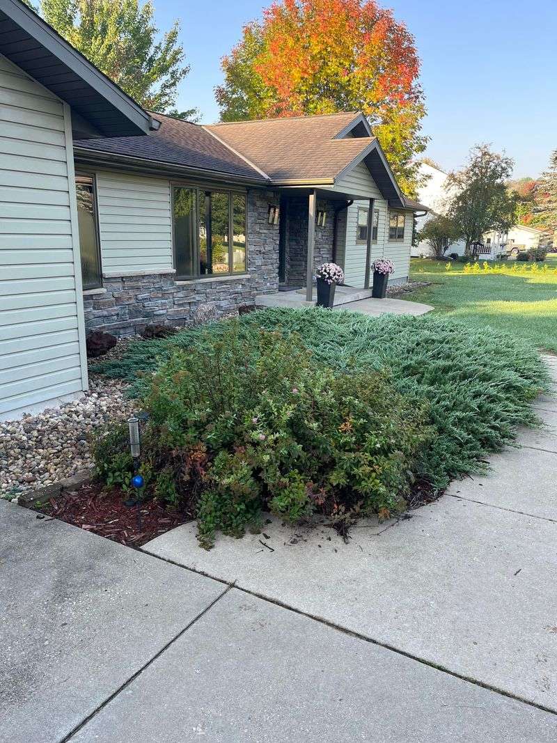 Overgrown Shrubs Can Connect Ground Fire To The Home Overgrown Shrubs Can Connect Ground Fire To The Home